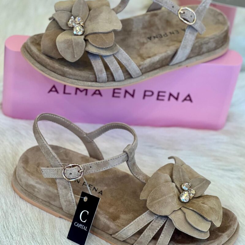 ALMA EN PENA V267103